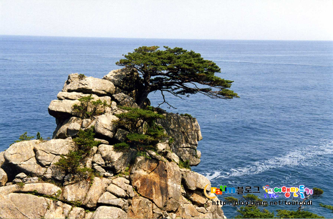 하조대IC 이미지