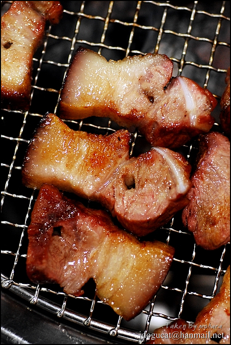 우도흑돼지 이미지
