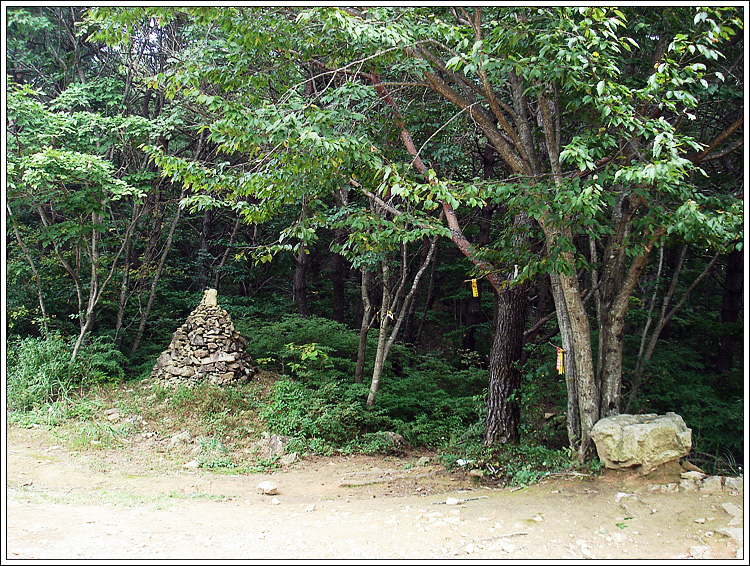 828펜션 이미지