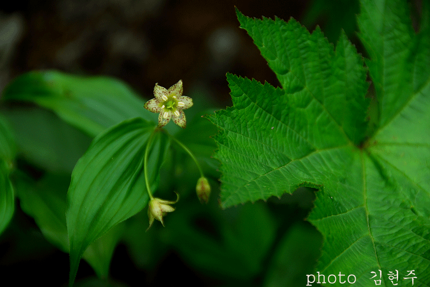 4839aa056345b&filename=DSC_3544whj.gif