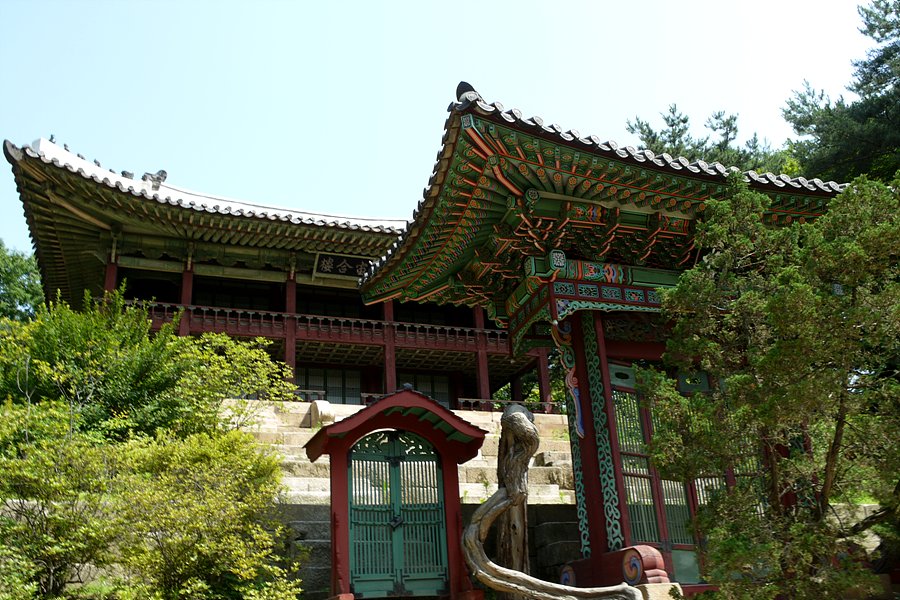 비원 이미지