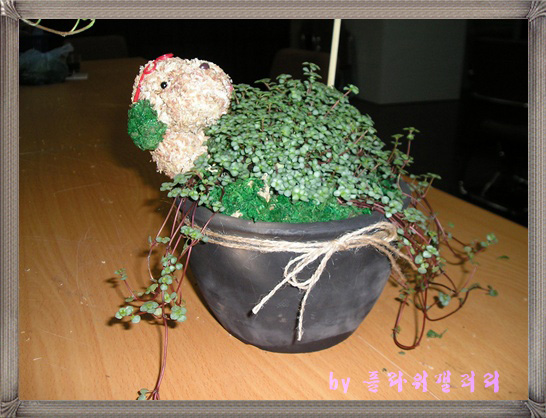 토피어리와 꽃 이미지