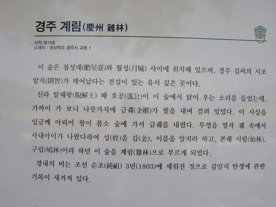 48a01bbfe02d7&filename=SV300173.JPG