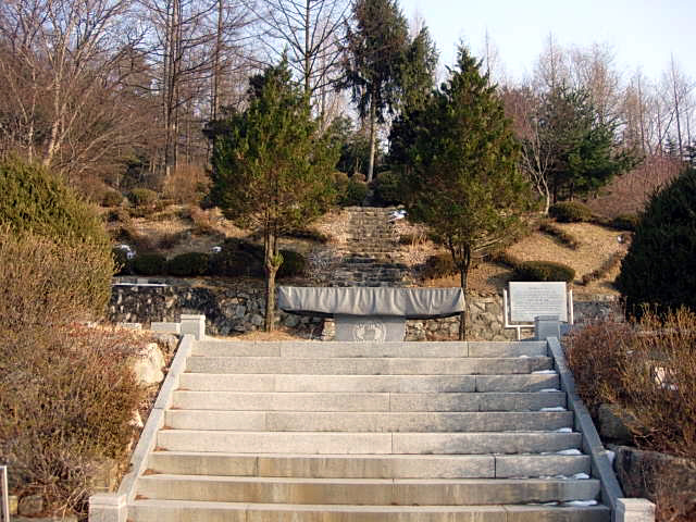 겟세마니동산 이미지