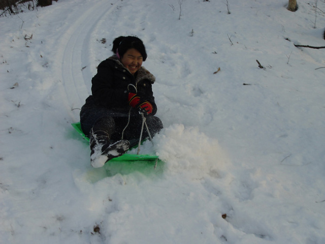 47c3f3495a261&filename=2009-01-02-26