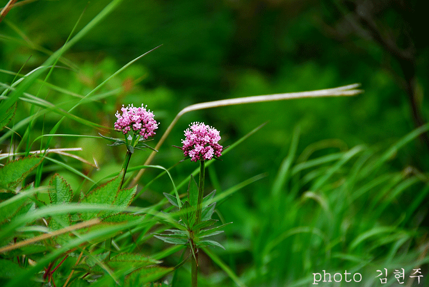 4839aa1fec5ce&filename=DSC_3561whj.gif