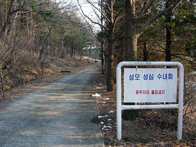겟세마니동산 이미지