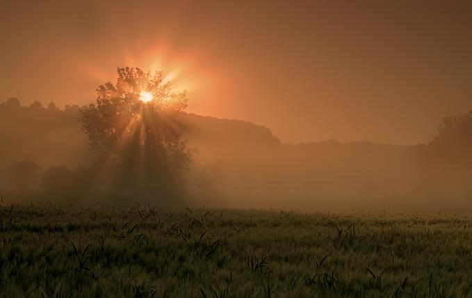 4837d95ac23ad&filename=6265855-md.jpg
