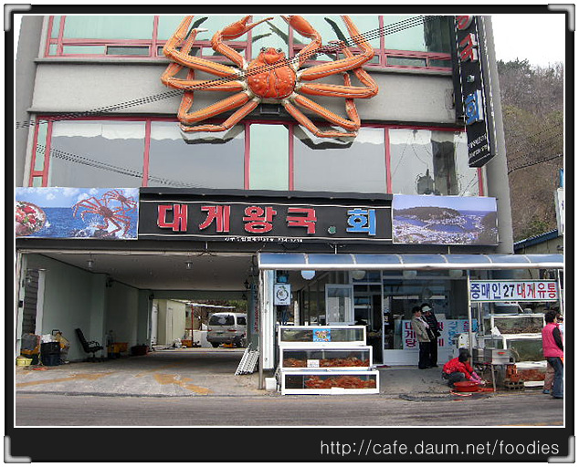 대게왕국 이미지