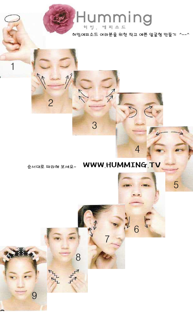 http://blog.daum.net/_blog/BlogTypeView.do?blogid=0K075&articleno=2929307&categoryId=372832®dt=20080313155543 작고예쁜 얼굴 만들기 (허밍에피소드 펌)