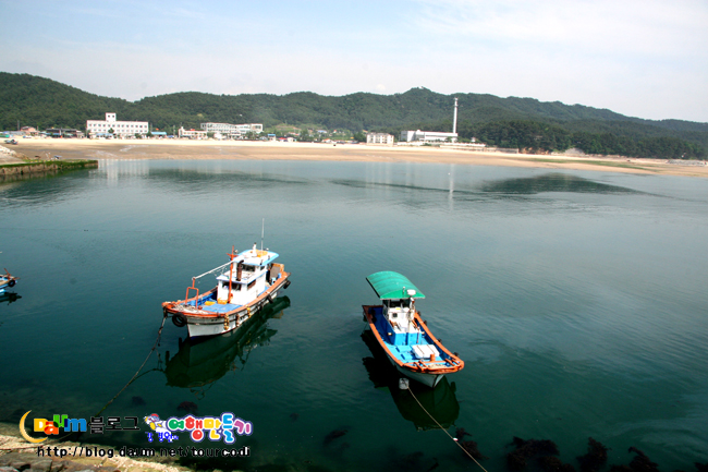 천리포횟집 이미지