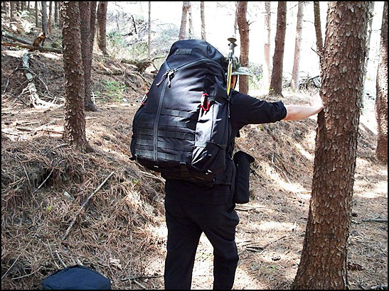 카멜시스템 이미지