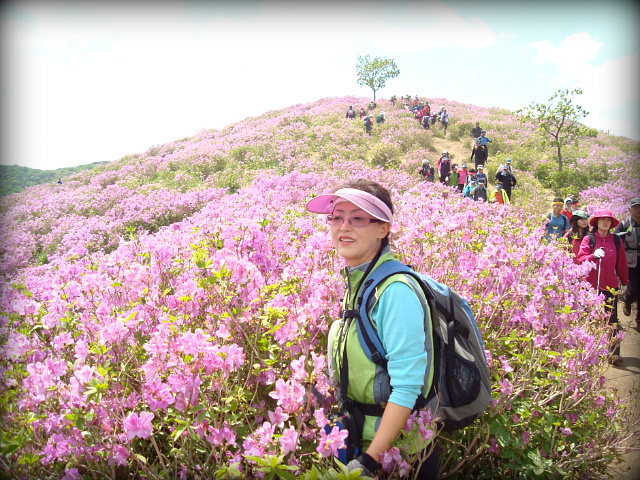 산철죽 군락지 이미지