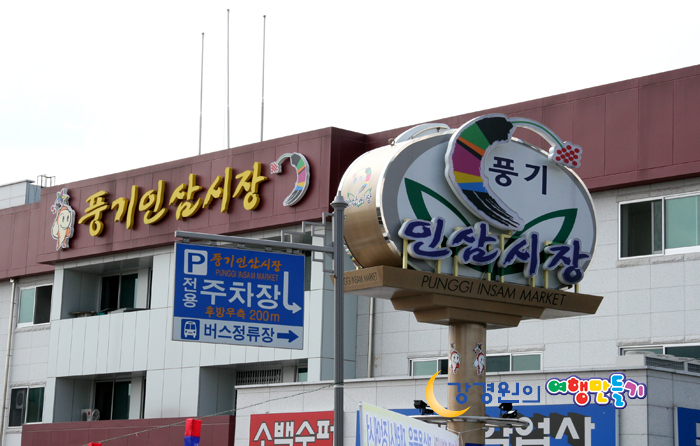 천년인삼 이미지