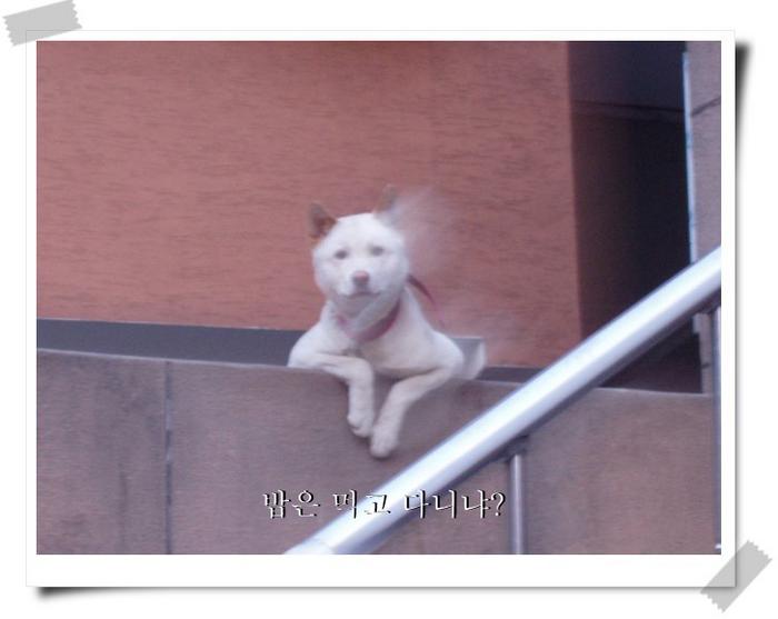 복 이미지