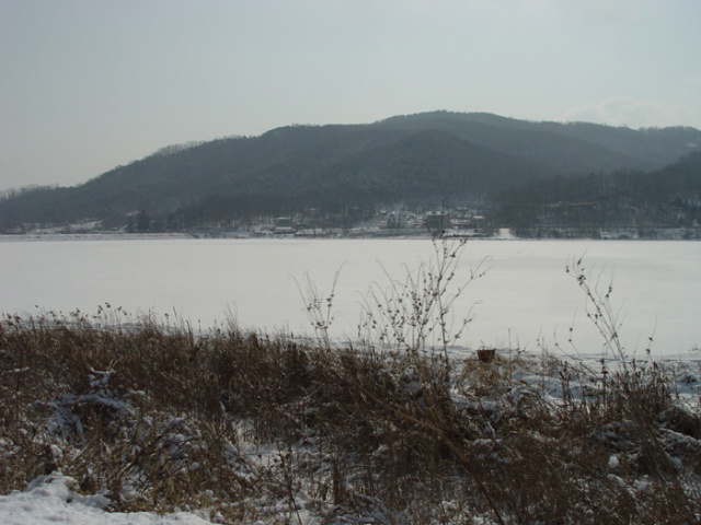47c3f3430293d&filename=2009-01-02-26