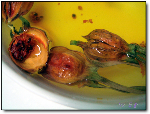 칼라시대 이미지