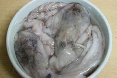 매콤 낙지 구이