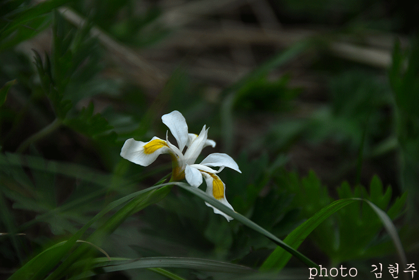 4839aa12650f0&filename=DSC_3555whj.gif