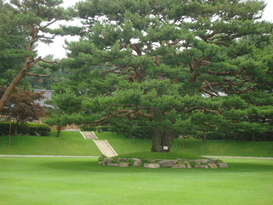 (주)녹지원 이미지