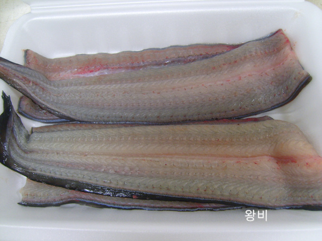 보양 음식 장어구이