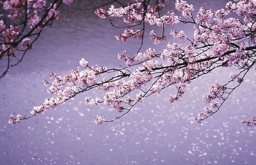 반가 이미지