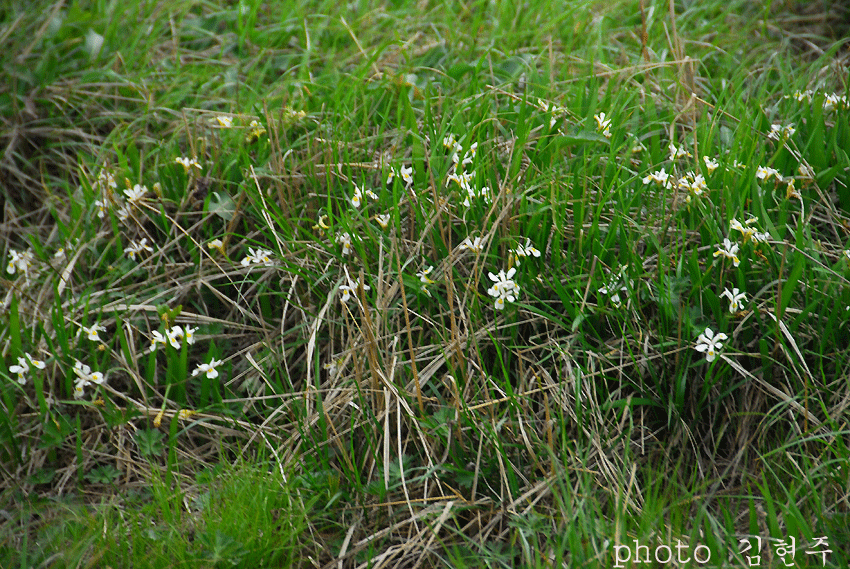 4839aa30cfae0&filename=DSC_3568whj.gif