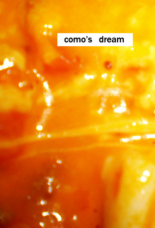 호텔토마토 이미지