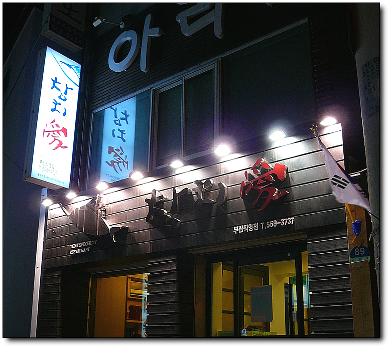 참치애 이미지