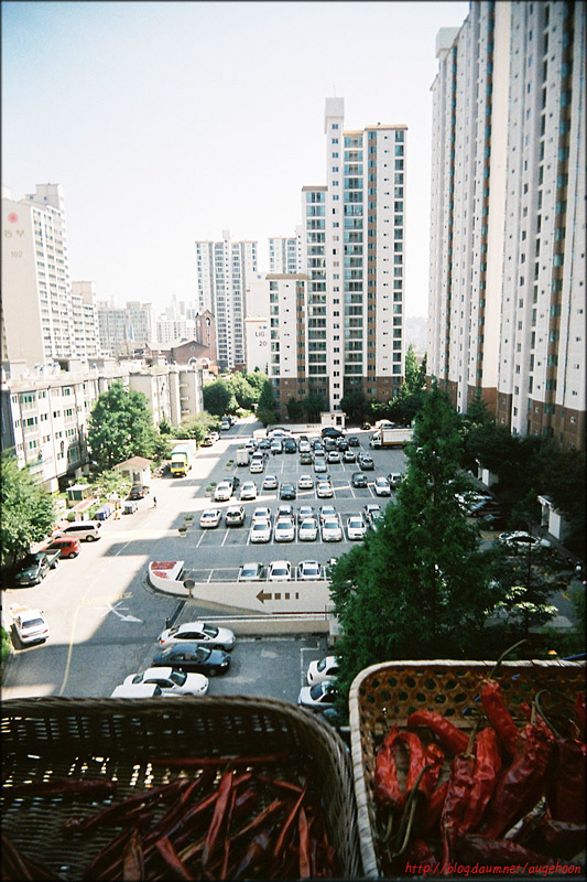필DNP 이미지
