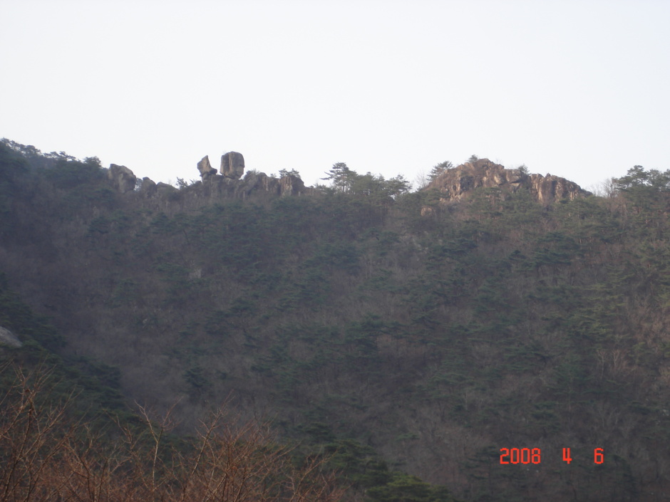 동산스포츠 이미지