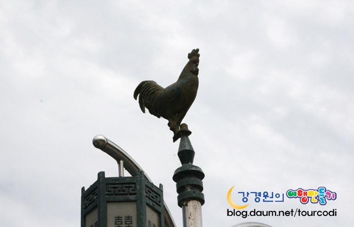 금계포란 이미지