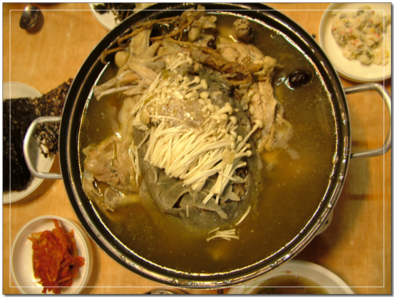 노마진 이미지